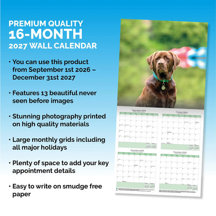 Baker & Bray Labrador Retriever Bruin Kalender 2026