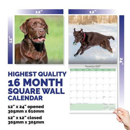 Baker & Bray Labrador Retriever Bruin Kalender 2026