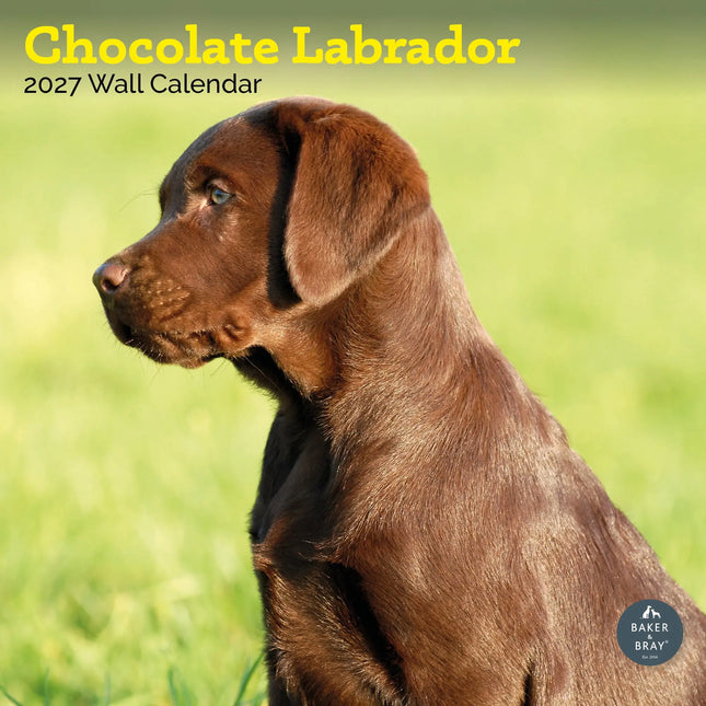 Baker & Bray Labrador Retriever Bruin Kalender 2027