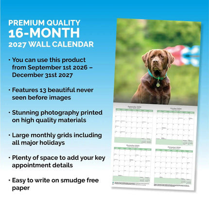 Baker & Bray Labrador Retriever Bruin Kalender 2027