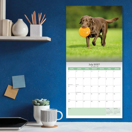 Baker & Bray Labrador Retriever Bruin Kalender 2027
