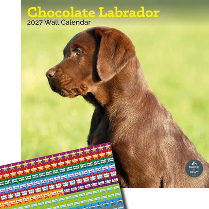 Baker & Bray Labrador Retriever Bruin Kalender 2027