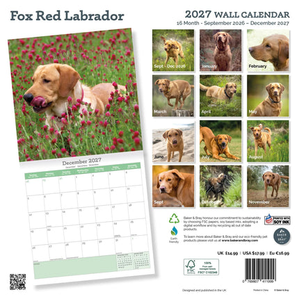 Baker & Bray Labrador Retriever Fox Red Kalender 2027