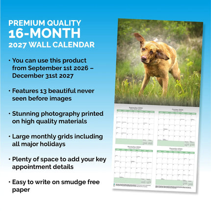 Baker & Bray Labrador Retriever Fox Red Kalender 2027