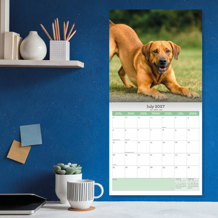 Baker & Bray Labrador Retriever Fox Red Kalender 2027