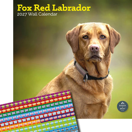 Baker & Bray Labrador Retriever Fox Red Kalender 2027