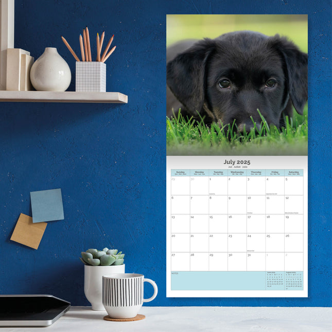 Baker & Bray Labrador Retriever Puppies Kalender 2025
