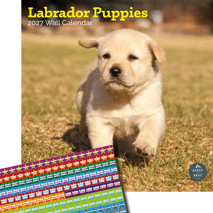 Baker & Bray Labrador Retriever Puppies Kalender 2026