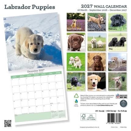 Baker & Bray Labrador Retriever Puppies Kalender 2027