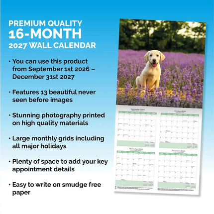 Baker & Bray Labrador Retriever Puppies Kalender 2027