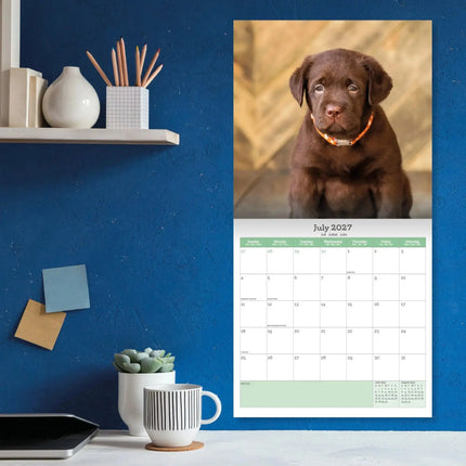 Baker & Bray Labrador Retriever Puppies Kalender 2027