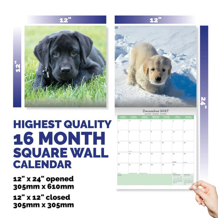 Baker & Bray Labrador Retriever Puppies Kalender 2027