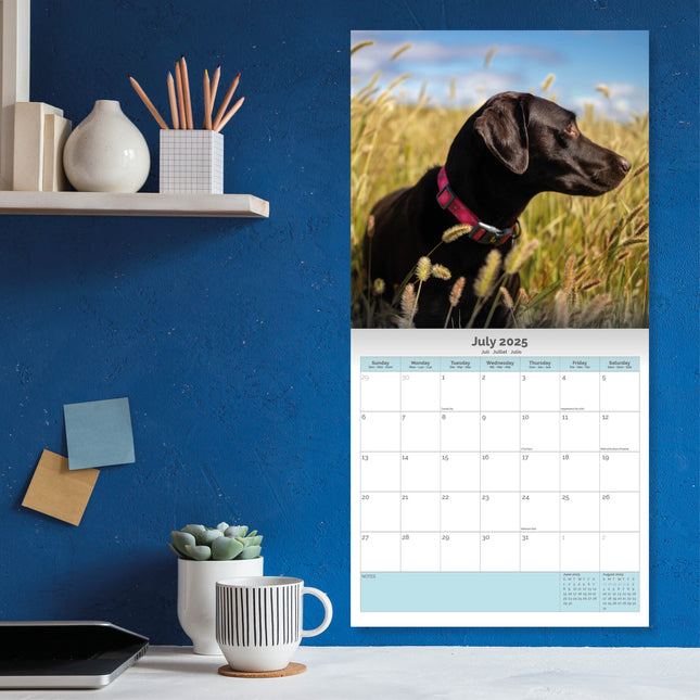 Baker & Bray Labrador Retriever Zwart Kalender 2025