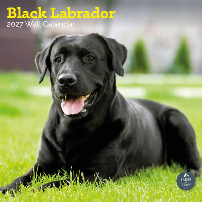 Baker & Bray Labrador Retriever Zwart Kalender 2027