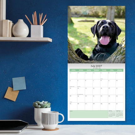 Baker & Bray Labrador Retriever Zwart Kalender 2027