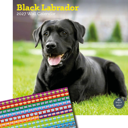 Baker & Bray Labrador Retriever Zwart Kalender 2027