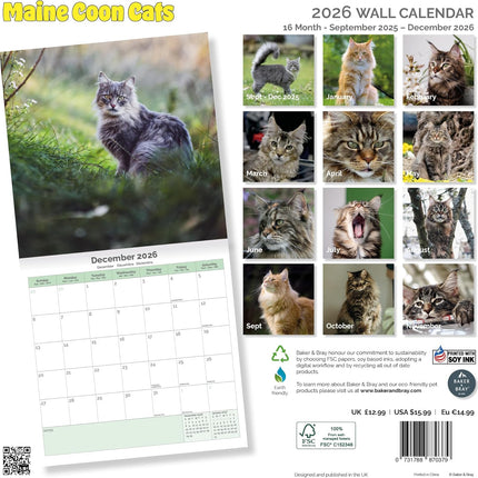 Baker & Bray Maine Coon Kalender 2026
