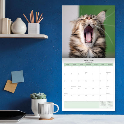 Baker & Bray Maine Coon Kalender 2026