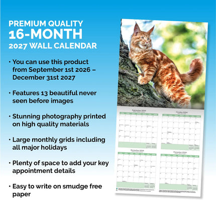 Baker & Bray Maine Coon Kalender 2026