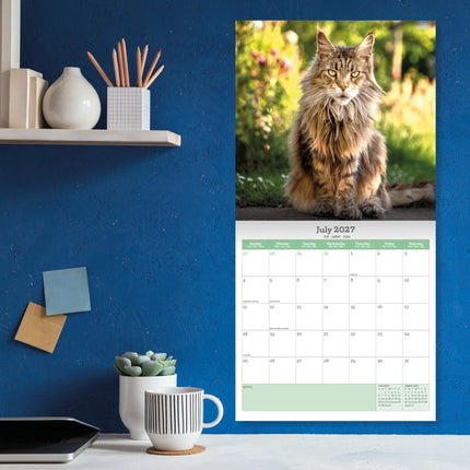 Baker & Bray Maine Coon Kalender 2026