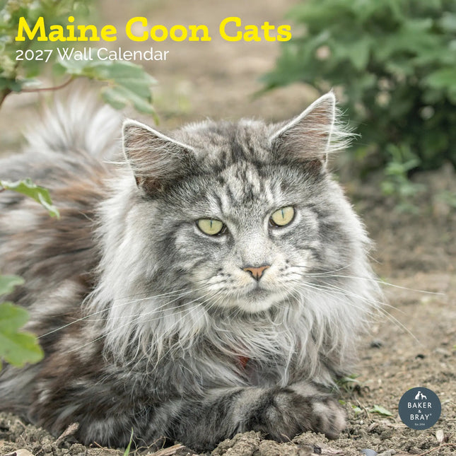 Baker & Bray Maine Coon Kalender 2027