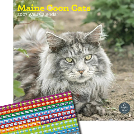 Baker & Bray Maine Coon Kalender 2027