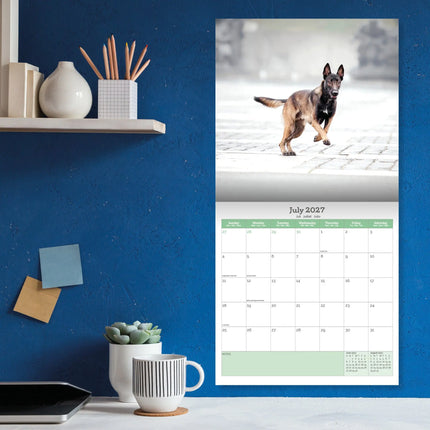 Baker & Bray Mechelse Herder Kalender 2027