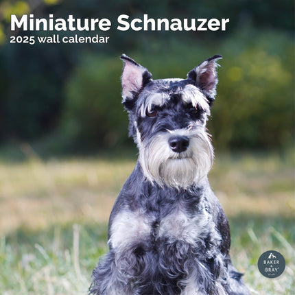 Baker & Bray Miniatuur Schnauzer Kalender 2025