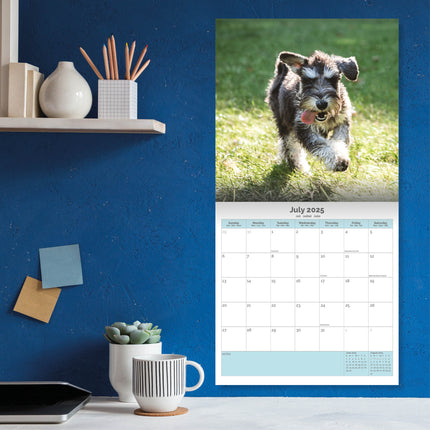 Baker & Bray Miniatuur Schnauzer Kalender 2025