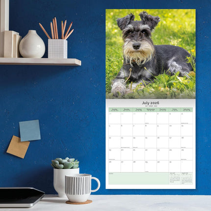 Baker & Bray Miniatuur Schnauzer Kalender 2026