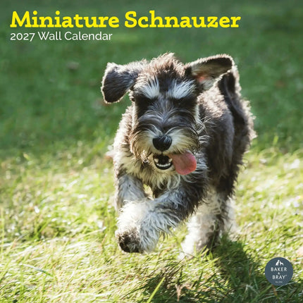 Baker & Bray Miniatuur Schnauzer Kalender 2027
