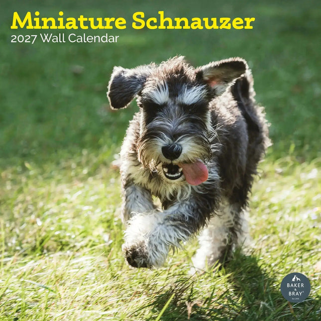 Baker & Bray Miniatuur Schnauzer Kalender 2027