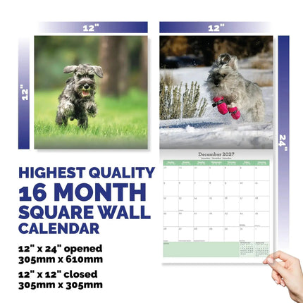 Baker & Bray Miniatuur Schnauzer Kalender 2027