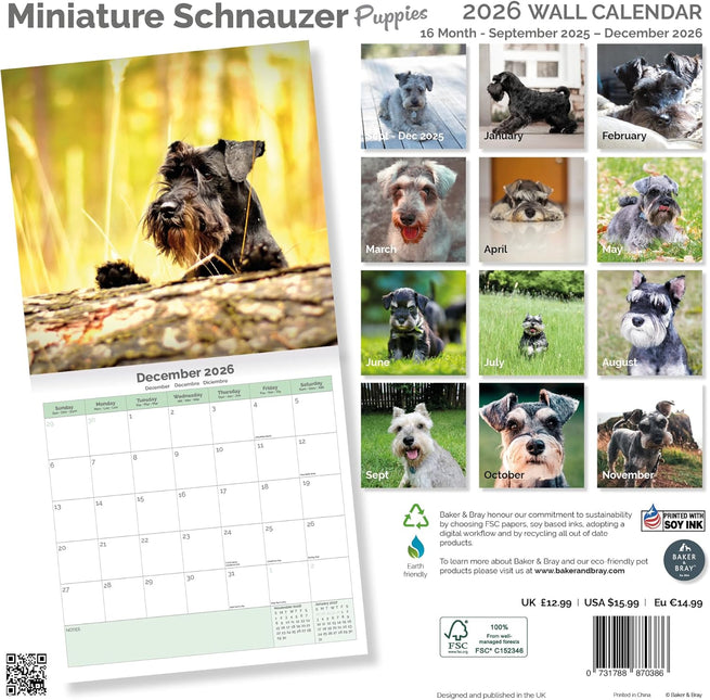 Baker & Bray Miniatuur Schnauzer Puppies Kalender 2026
