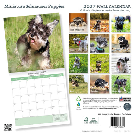 Baker & Bray Miniatuur Schnauzer Puppies Kalender 2026