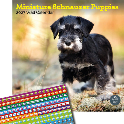 Baker & Bray Miniatuur Schnauzer Puppies Kalender 2026