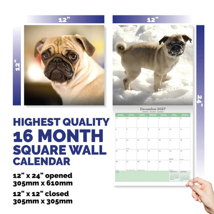 Baker & Bray Mopshond Kalender 2027