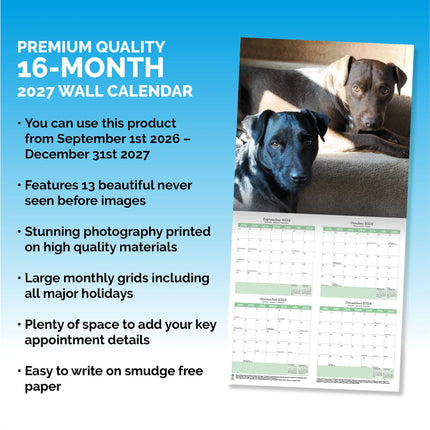 Baker & Bray Patterdale Terrier Kalender 2027