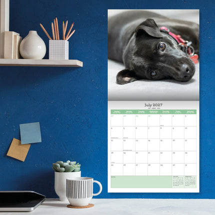 Baker & Bray Patterdale Terrier Kalender 2027