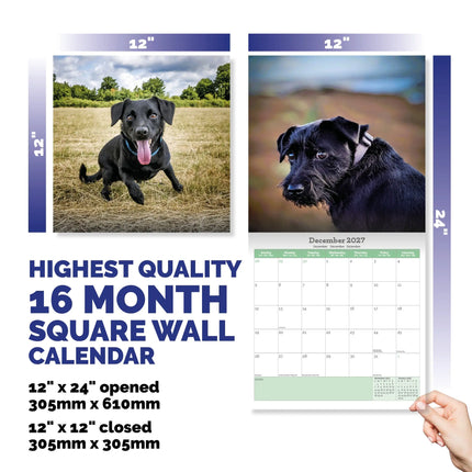 Baker & Bray Patterdale Terrier Kalender 2027