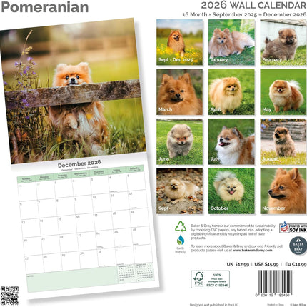 Baker & Bray Pomeranian Kalender 2026
