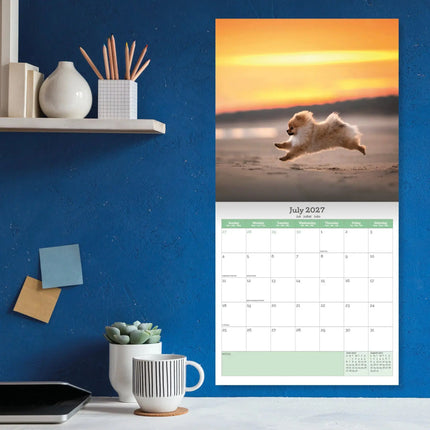 Baker & Bray Pomeranian Kalender 2027