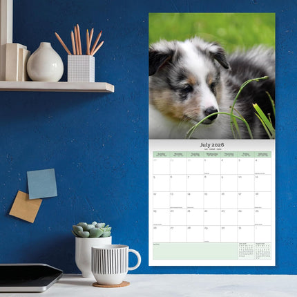 Baker & Bray Puppies Kalender 2026