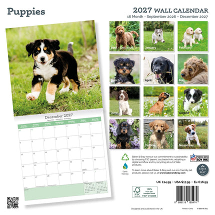 Baker & Bray Puppies Kalender 2027
