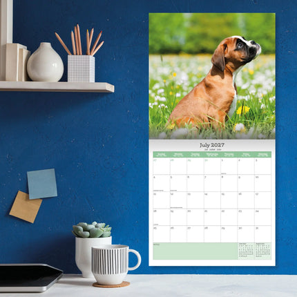 Baker & Bray Puppies Kalender 2027