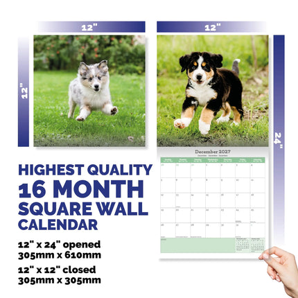 Baker & Bray Puppies Kalender 2027