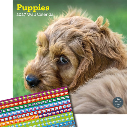 Baker & Bray Puppies Kalender 2027