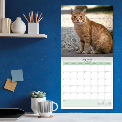 Baker & Bray Rode Katten Kalender 2026