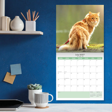 Baker & Bray Rode Katten Kalender 2027