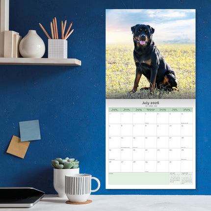 Baker & Bray Rottweiler Kalender 2026